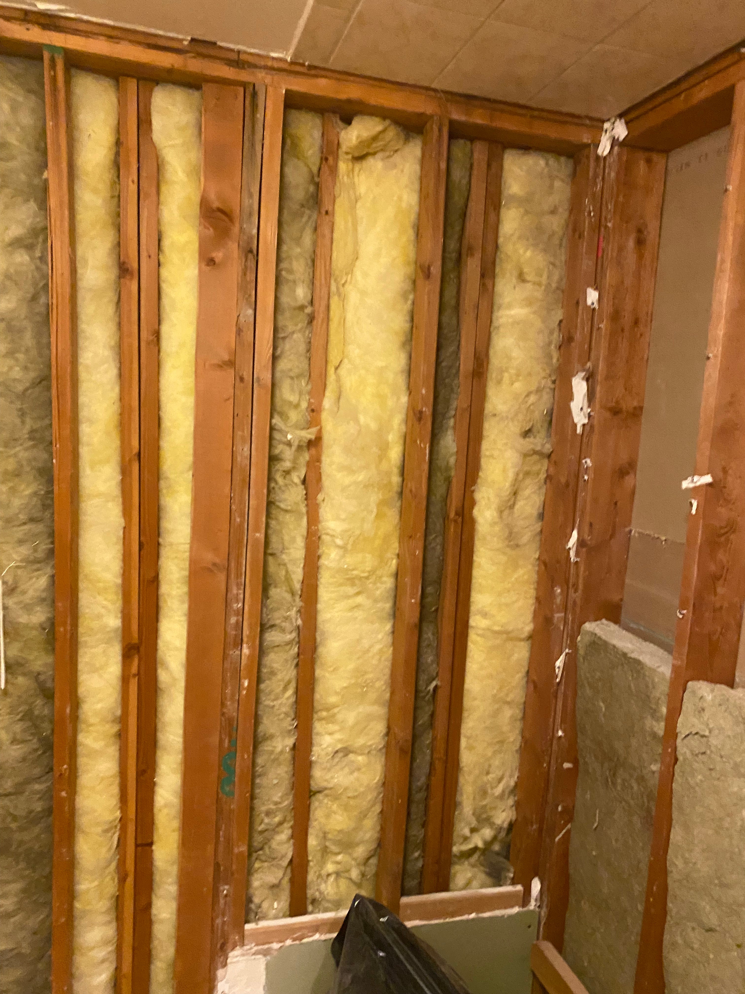 in progress gutted to the studs 